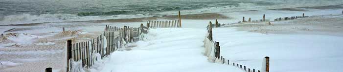 enjoy New Jersey