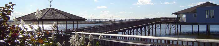 enjoy New Jersey