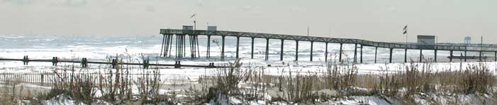 enjoy New Jersey