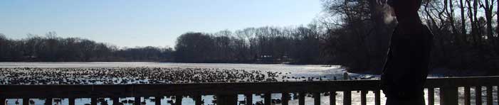 enjoy New Jersey